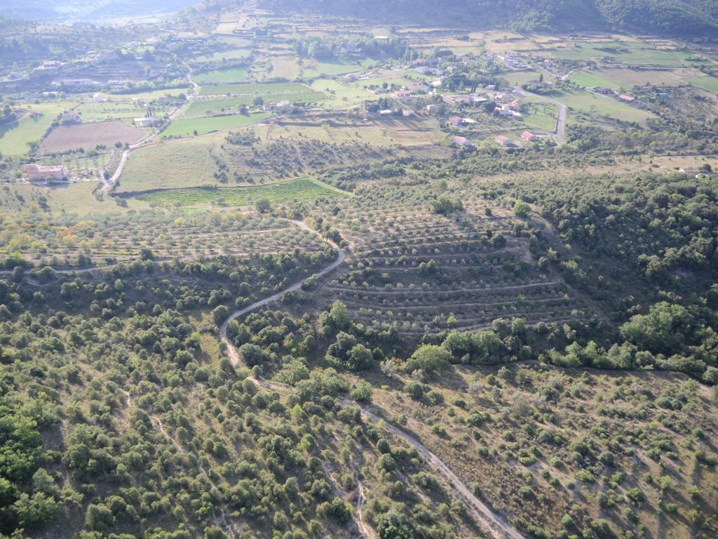 Pontet-Fronzele Agrotourisme Ecologique, Maison D'Hotes & Spa Lagorce  Eksteriør billede