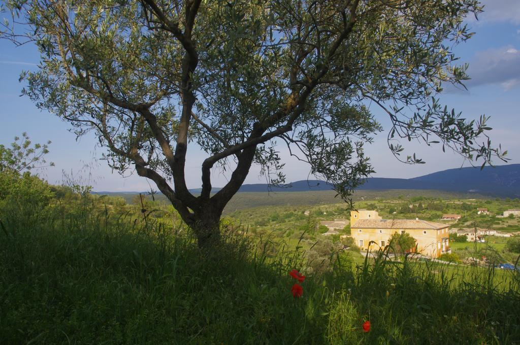 Pontet-Fronzele Agrotourisme Ecologique, Maison D'Hotes & Spa Lagorce  Eksteriør billede