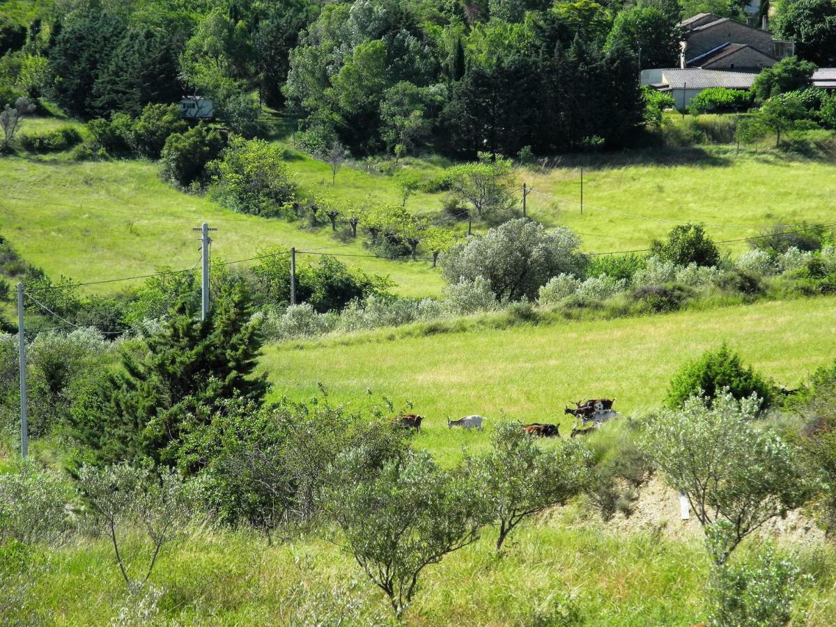 Pontet-Fronzele Agrotourisme Ecologique, Maison D'Hotes & Spa Lagorce  Eksteriør billede